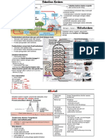 Nota Bab 5 Sebatian Karbon PDF