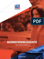 Georreferenciamento - EAD PDF