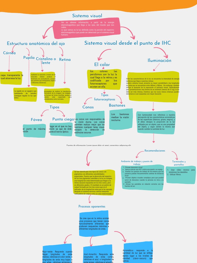Mapa conceptual del sistema visual | PDF | Percepción visual | Sistema ...