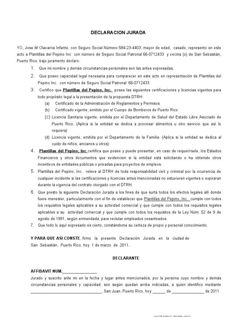 DECLARACION JURADA MODELO