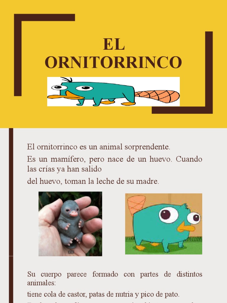 El Ornitorrinco | PDF