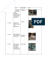 Tugas Biologi Hisyam Xe7