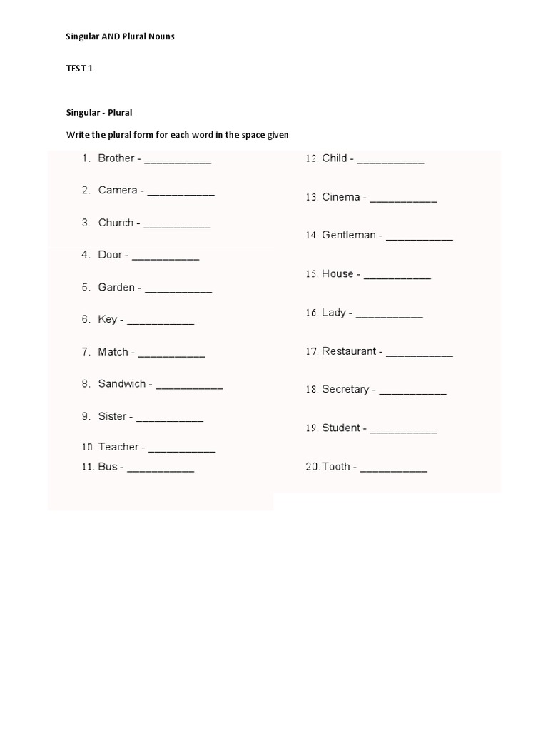 Test 1 Nouns Pronouns Pdf Plural Grammatical Number