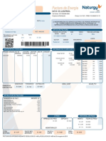 Factura PDF