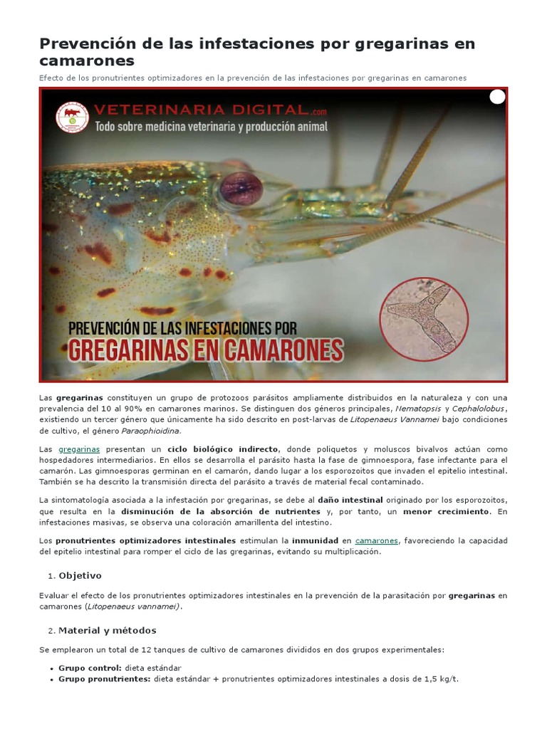 Gregarinas PDF | PDF | Especialidades Medicas