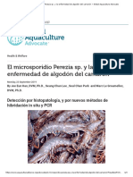 Microsporidio PDF