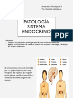 Patologia Sistema Endocrino