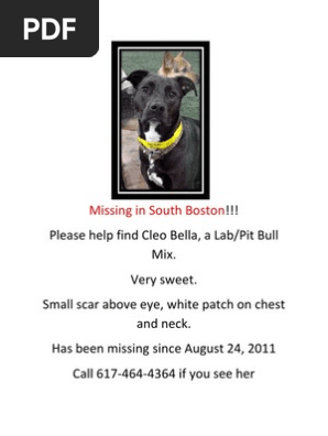 Cleo Bella Missing Poster