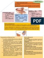 Resumes de Reticulos Endoplasmatico PDF