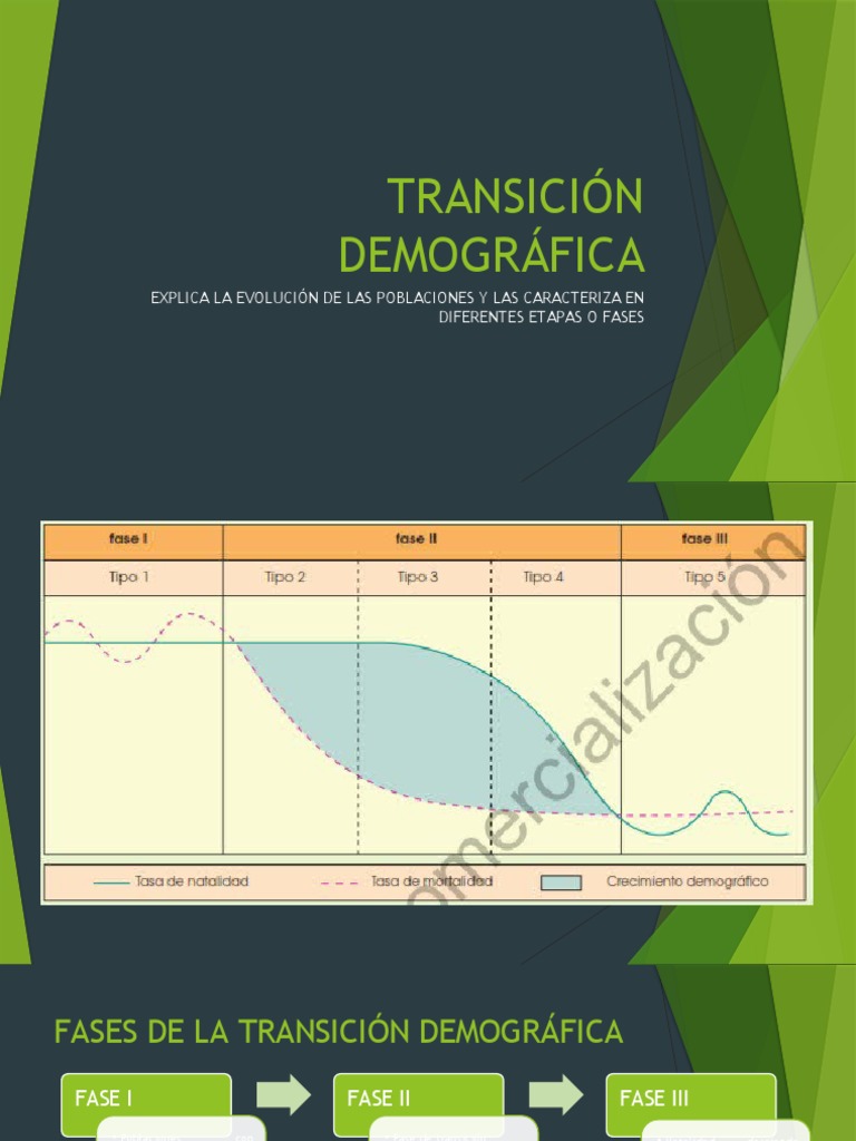 Etapas de la Transición Demográfica | PDF | Población | Demografía