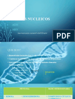 2.9. - Acidos Nucleicos