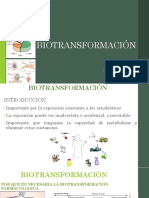 IV Biotransformación