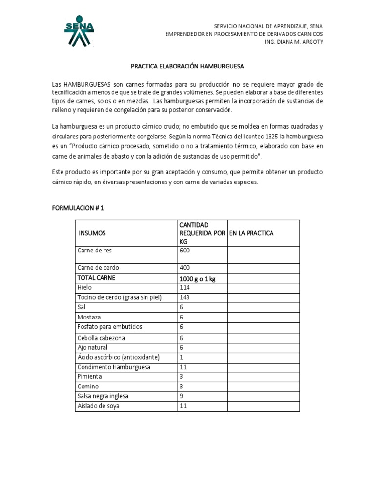 elaboracion-de-carne-hamburguesa-descargar-gratis-pdf-carne
