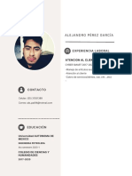 Alejandro Pèrez Garcia CV PDF