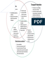 Diagrama de Venn Entre Ciclo de Krebs, Fosforilación Oxidativa y Transporte de Electrones