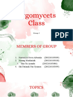 Class Zygomycets