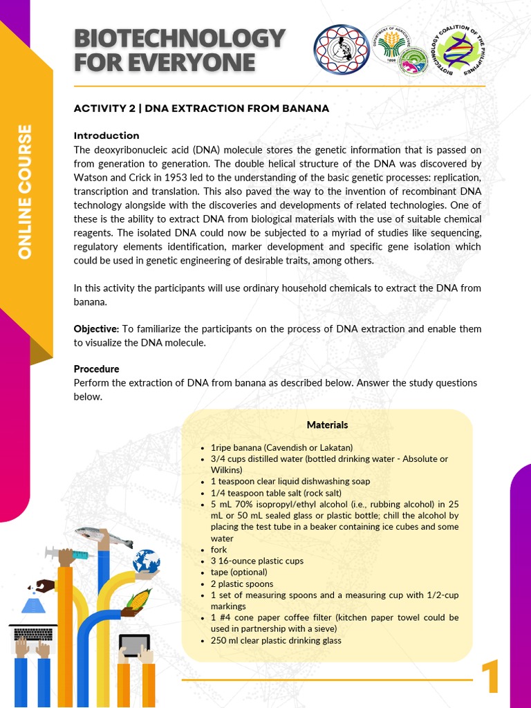 DNA Extraction from Banana Guide | PDF | Dna | Filtration