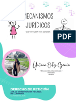 Mecanismos Juridicos PDF