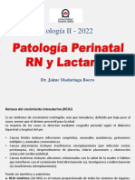 Patologia Perinatal RN Lact PDF