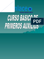 Curso Palmafa Ev O.K.