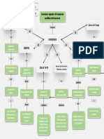 Mapa Conceptuald e Convenios