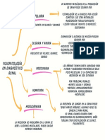 Poliuria: Fisiopatología en Diagnóstico Renal