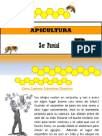 Apicultura 3er Parcial Corregido PDF