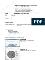Lembar Kerja Praktikum Mikrobiologi Lingkungan