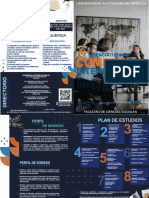 Triptico Lci Corel