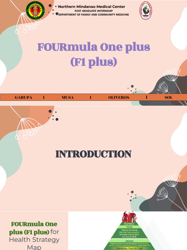 Fourmula One Plus for Health Strategy | PDF | Health Care | Governance