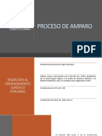 Proceso de Amparo PDF