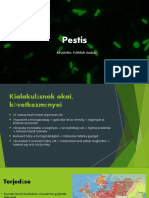 Pestis Kivetítés