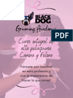 Grooming Academy: curso integral de alta peluquería canina y felina