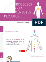 Conf - Fase B - El Equilibrio de Los Centros y La Fabricacion de Los Mercurios UV PDF