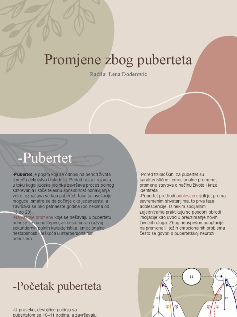Promjene Zbog Puberteta | PDF