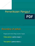 Pemeriksaan Panggul