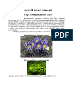 Biologia2018nov - Haromszek Vedett Noevenyei