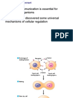 Cellular Communication and Signaling Mechanisms