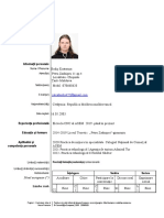 CV Personalizat PDF