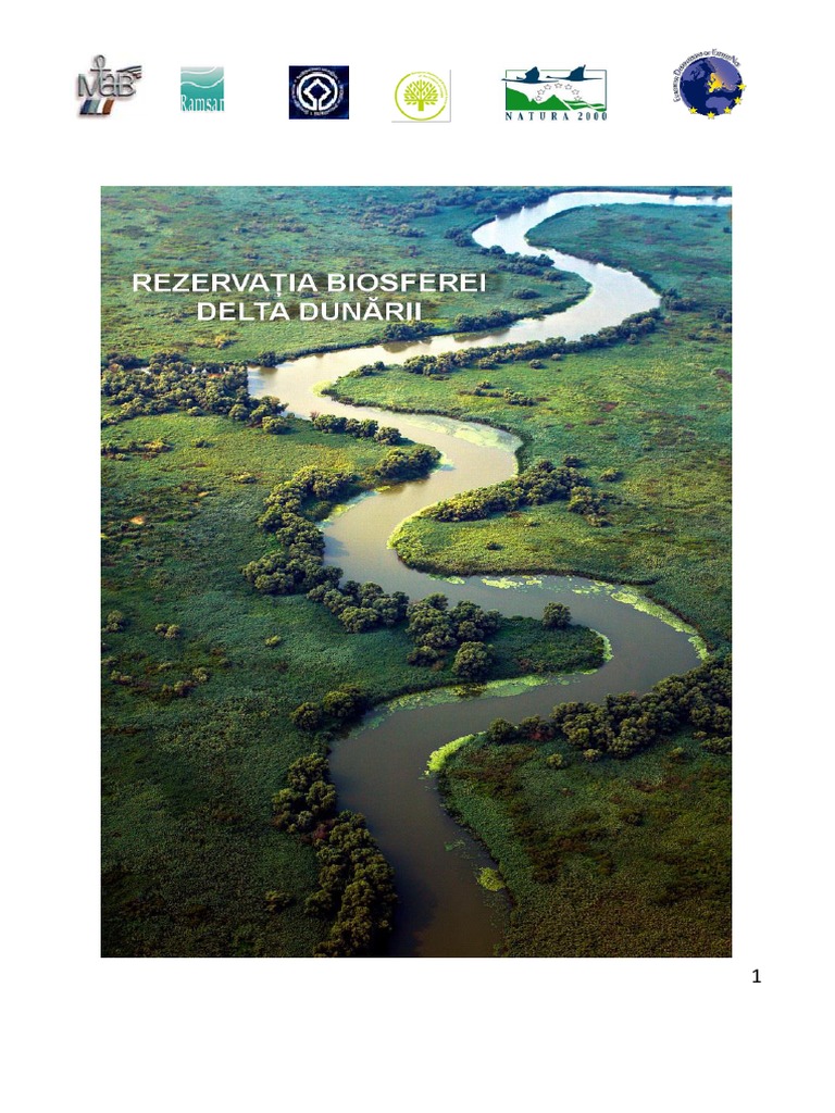 1 - Brosura Prezentare RBDD - LB Romana | PDF