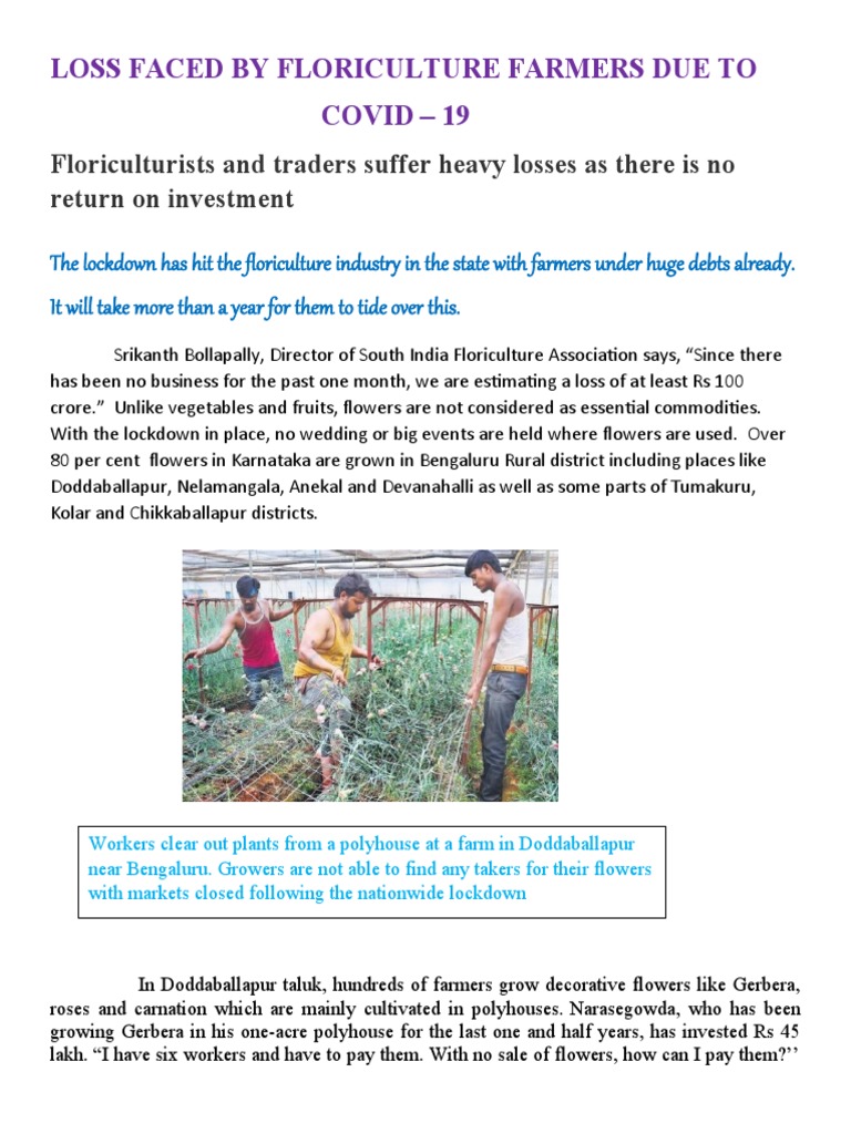 Loses Faced by Farmers During Covid 19 | PDF | Agriculture | Economies