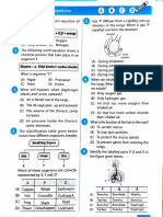 MCQ Respiration