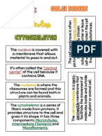 Gen Bio (Definitions) - Cell Structure