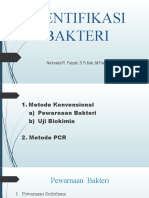 Identifikasi Bakteri