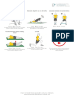 Entrenamiento 2021 12 13 PDF