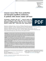 Reduced Muscle Fiber Force Production