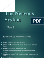 The Nervous System - 1