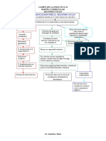 Mapa Conceptual Segundo Ciclo