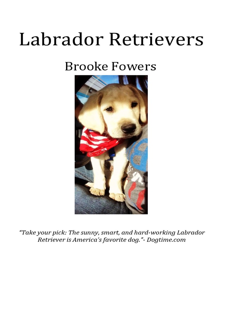 Guidedread 049 PDF Labrador Retriever Dogs