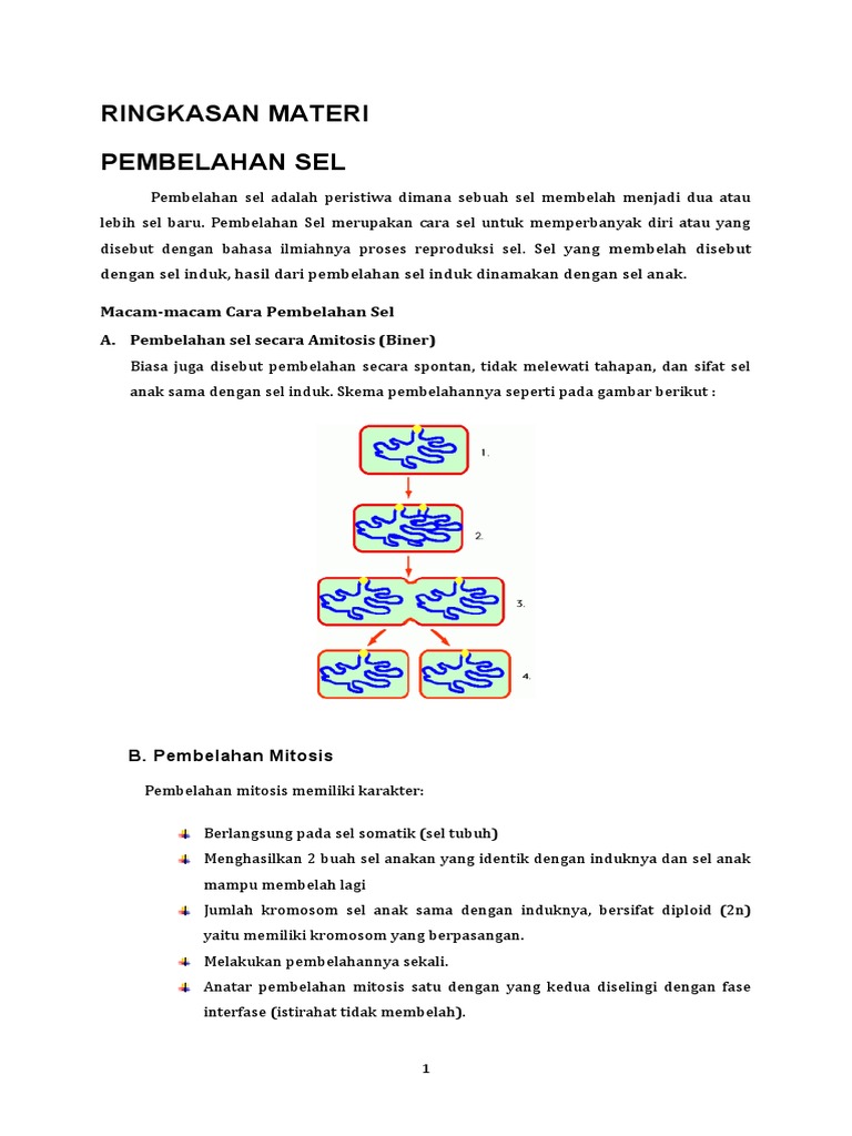 Rangkuman Pembelahan Sel dan Metode | PDF | Pengembangan Diri | Sains ...